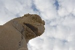 � ��� � ����������� ����������. Persepolis