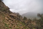 ������ � ���� � ������ �� ���������� ������� ������ I (Shapur I)