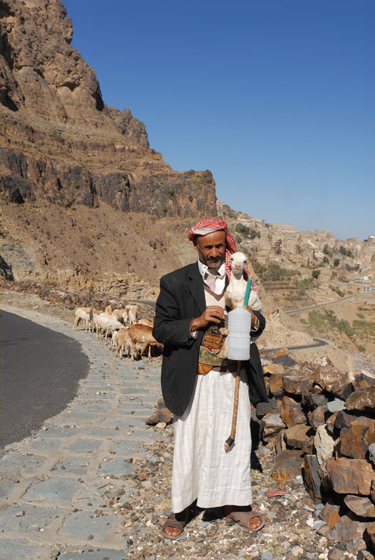 ������� ������ �������: man, animals, mountain, sheep, , 