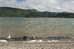 ���� ����� �� �������� � �� � ������ ������ (Furnas). ������, ������