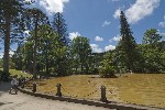 Термальный бассейн с "железной" водой в парке Терра Ностра (Terra Nostra). А какие великаны вокруг!
