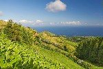 ��� �� Sete Cidades � ������� ������. ���������...