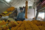 Мне очень понравились Сикхи