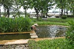 ������ - �����, ������� ����� ���������� ���� � �����...