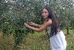 Подкрепиться с окрестного куста. Что может быть проще?