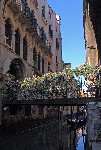 ������� � ���� ����� ���������� �������� ��� �� ��������...